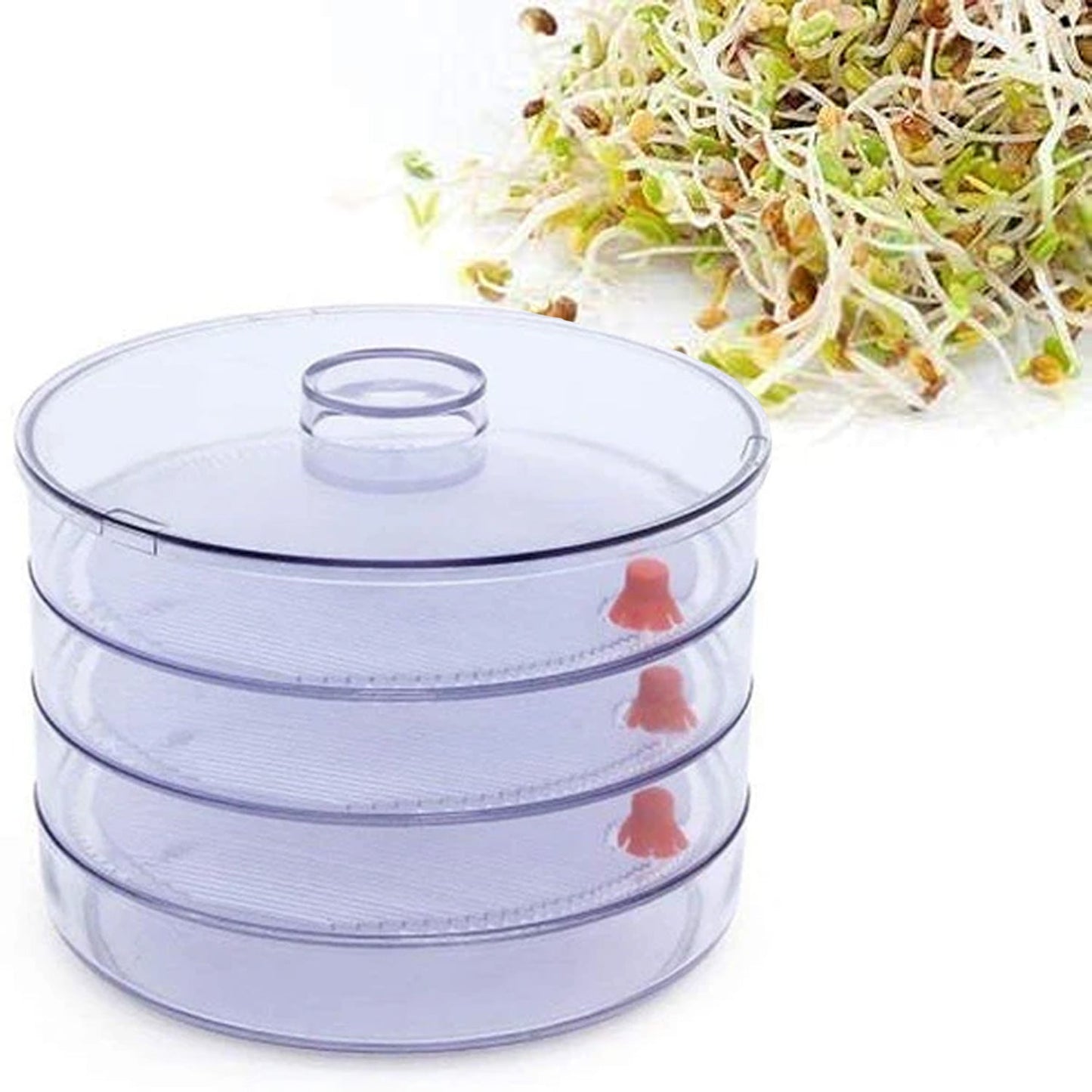 070 Plastic 4 Compartment Sprout Maker, White Dukan Daily